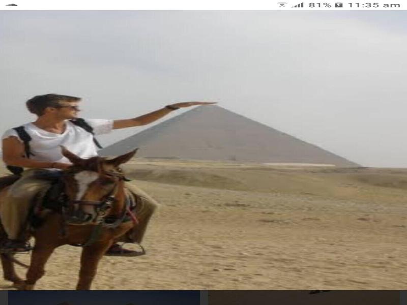Royal Pyramids Inn image