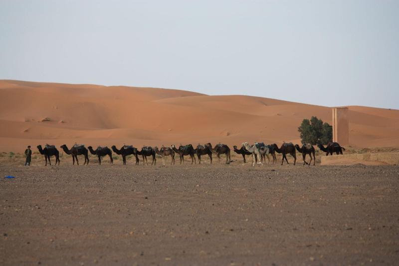 Kasbah Le Berger image