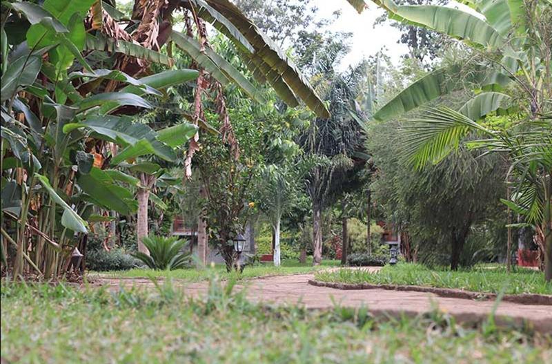 Arusha Planet Lodge image