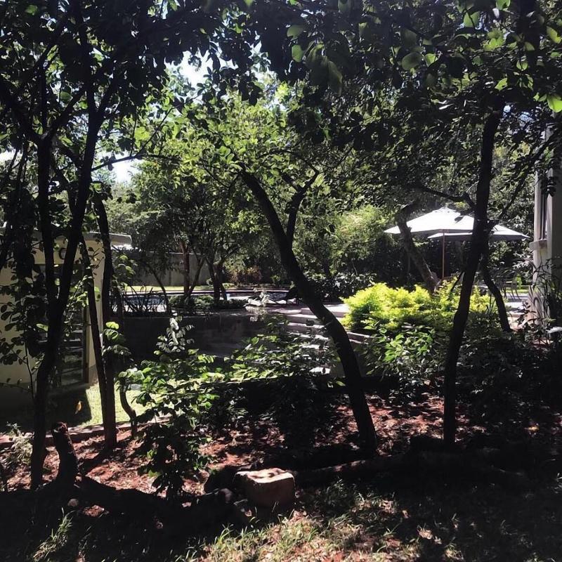 528  Victoria Falls Guest House image