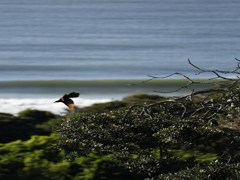 Ocean Vista Boutique Guest House image