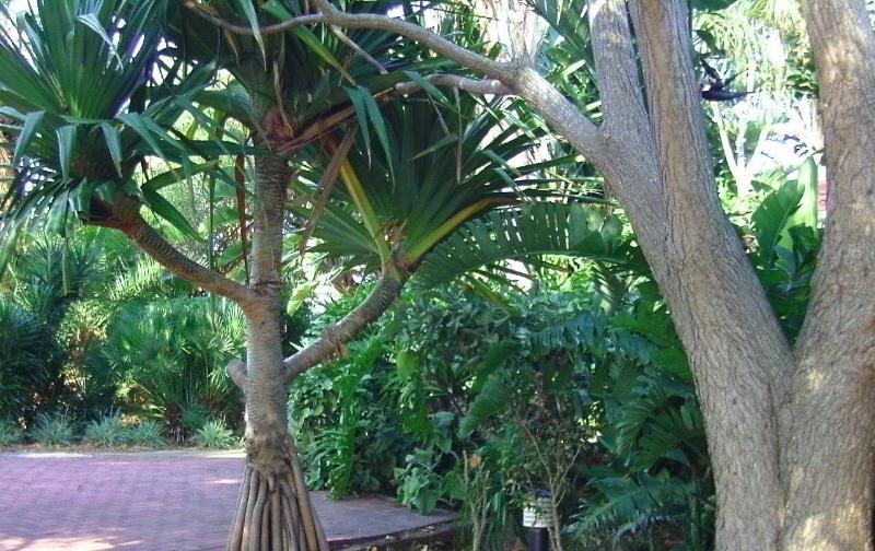 Amanzi Guest House image