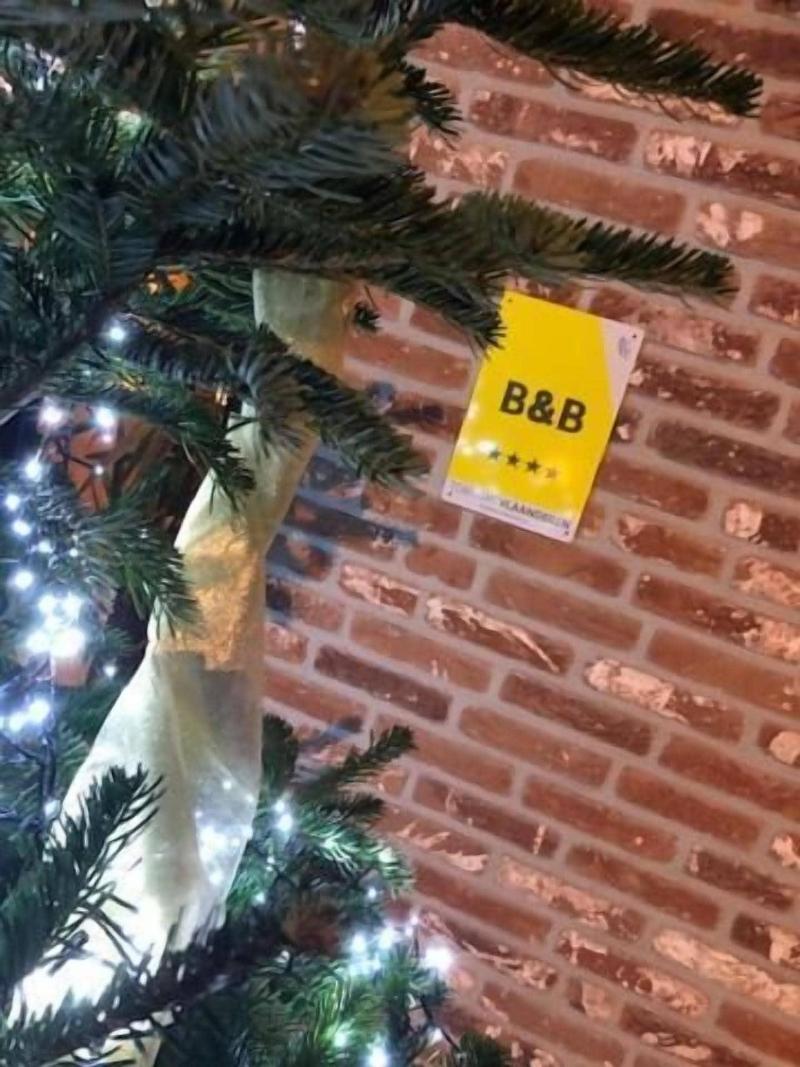 B&B Sasput image