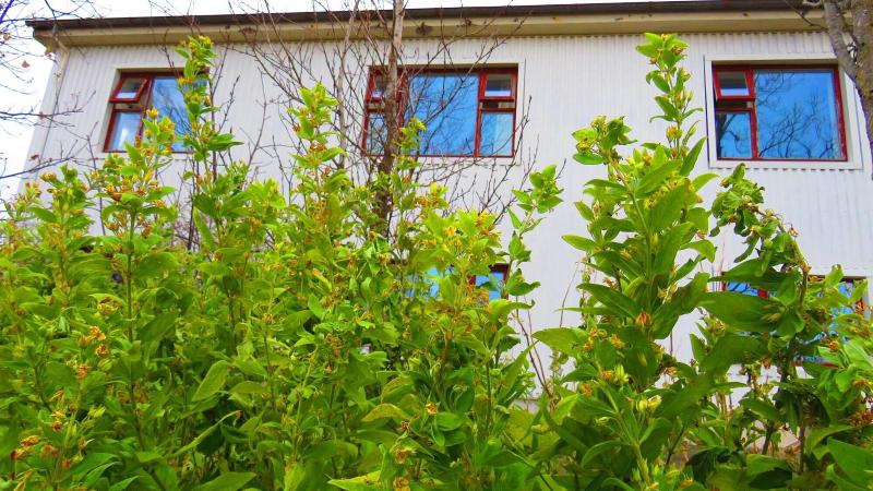 Kálfafellsstaður Guesthouse image