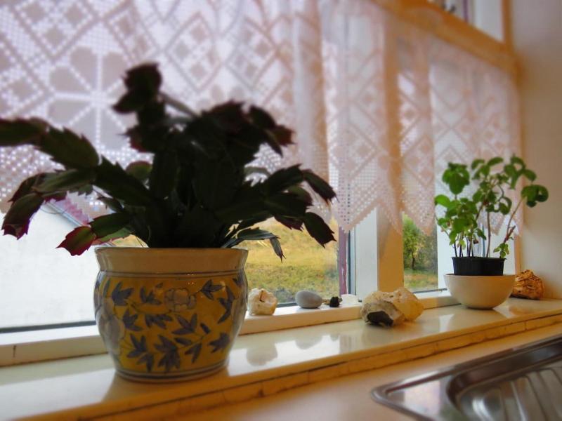 Kálfafellsstaður Guesthouse image