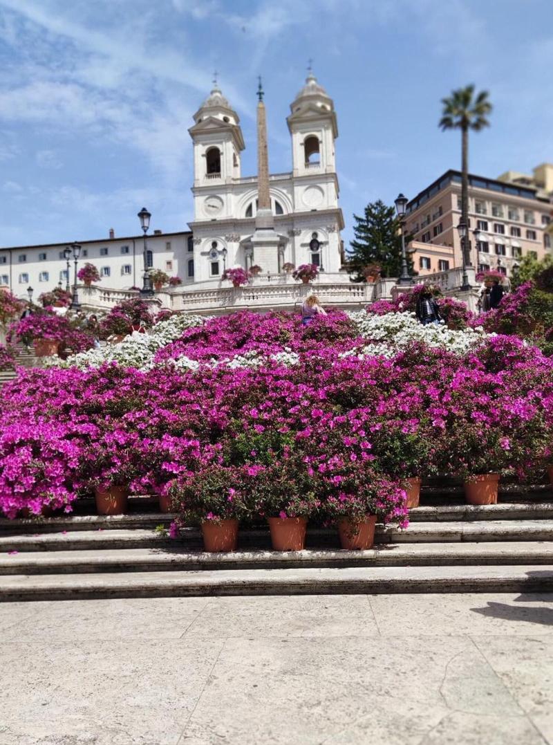Garden Of Rome Guesthouse image