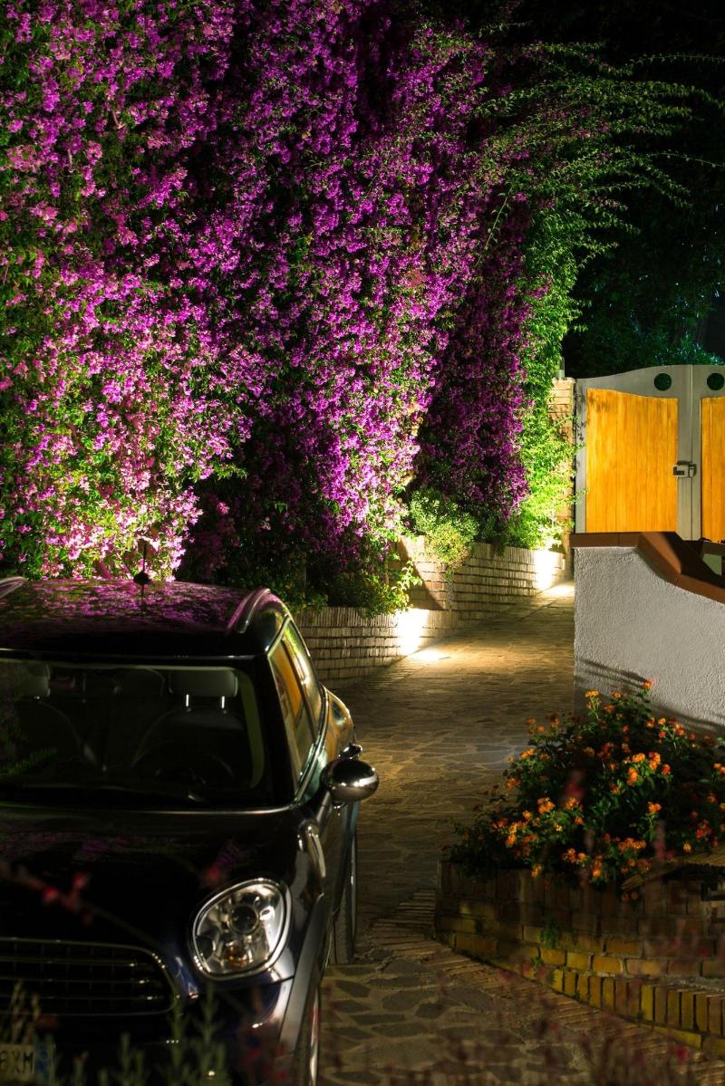 Villa Araucaria image