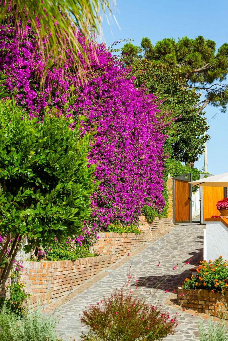 Villa Araucaria image