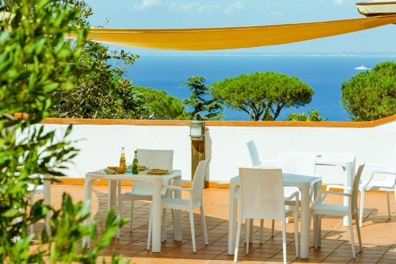 Villa Araucaria image