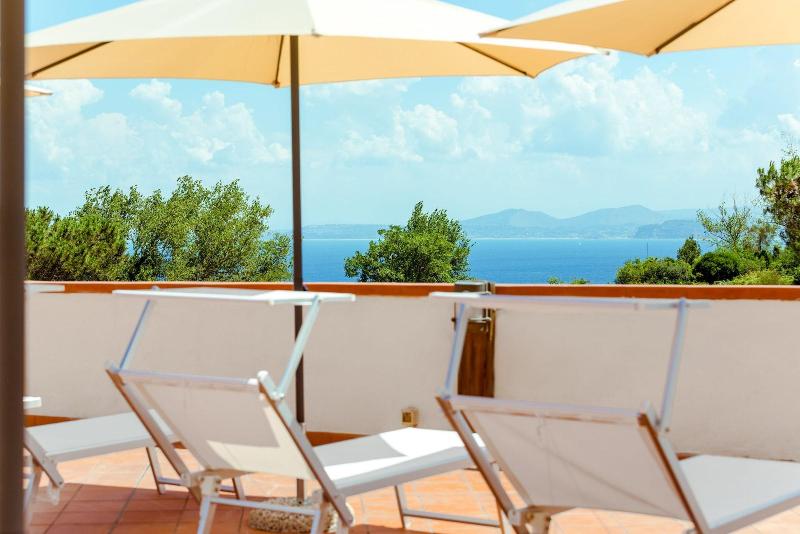 Villa Araucaria image