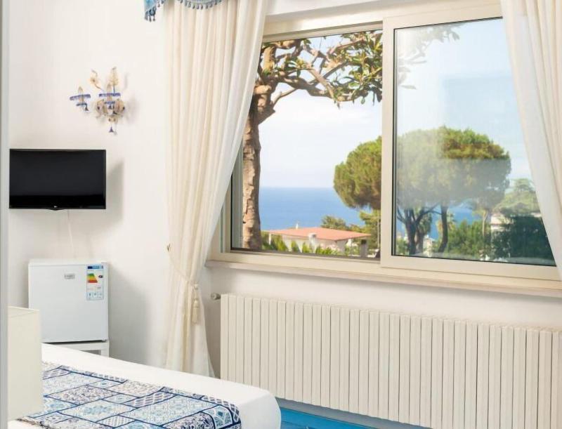 Villa Araucaria image