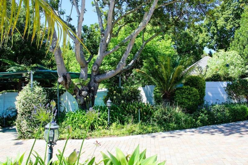 Cape Village Lodge image