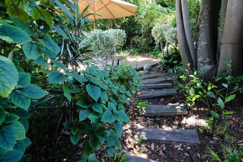 Cape Village Lodge image