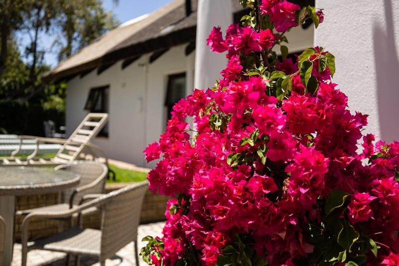 Cape Village Lodge image