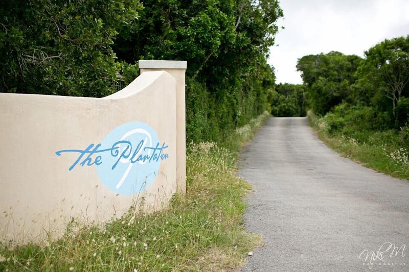 The Plantation image