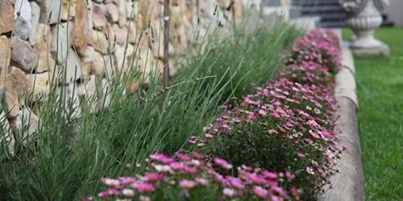 Stone Olive Guest House image