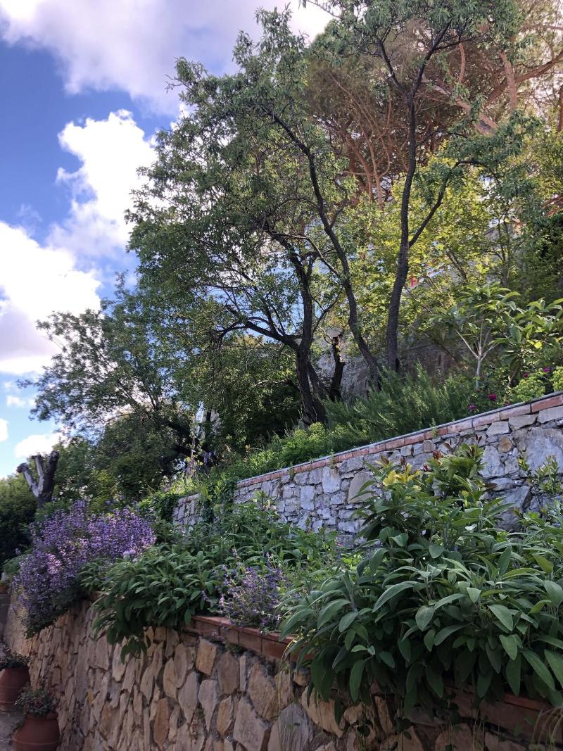 Villa Curiel image