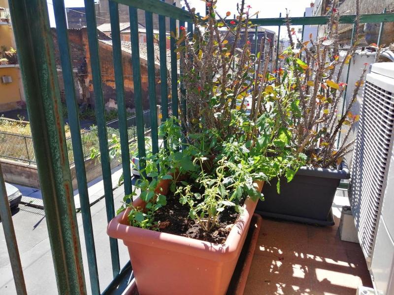 Nonno Francesco Rooms image