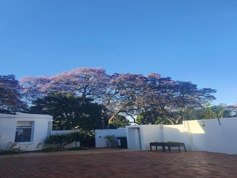 Maison Jacaranda image