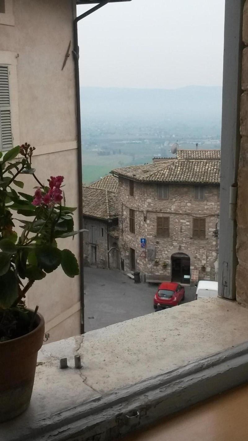 Camere Carli image