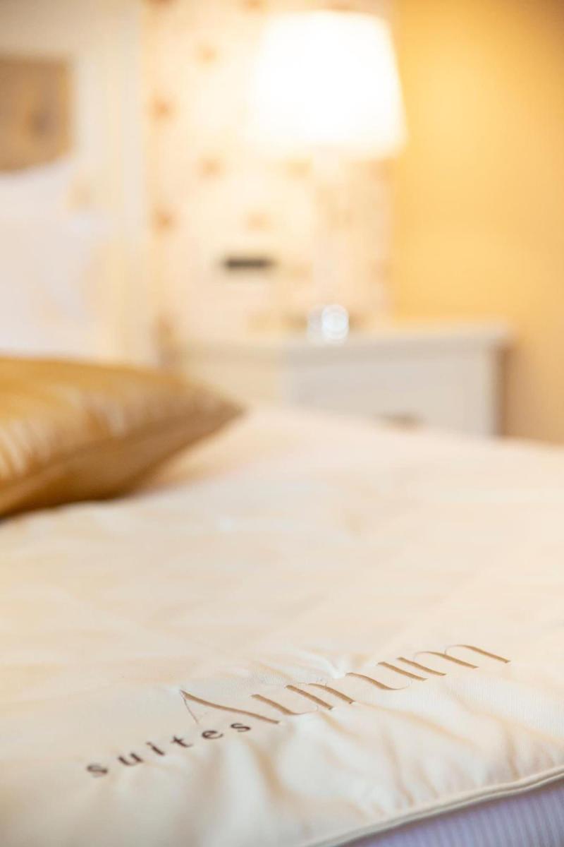 Aurum Suites image