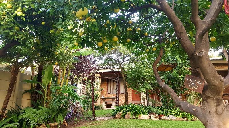 Citrus Lane Guesthouse image