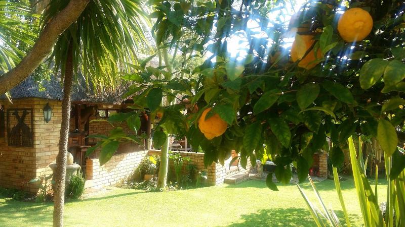 Citrus Lane Guesthouse image