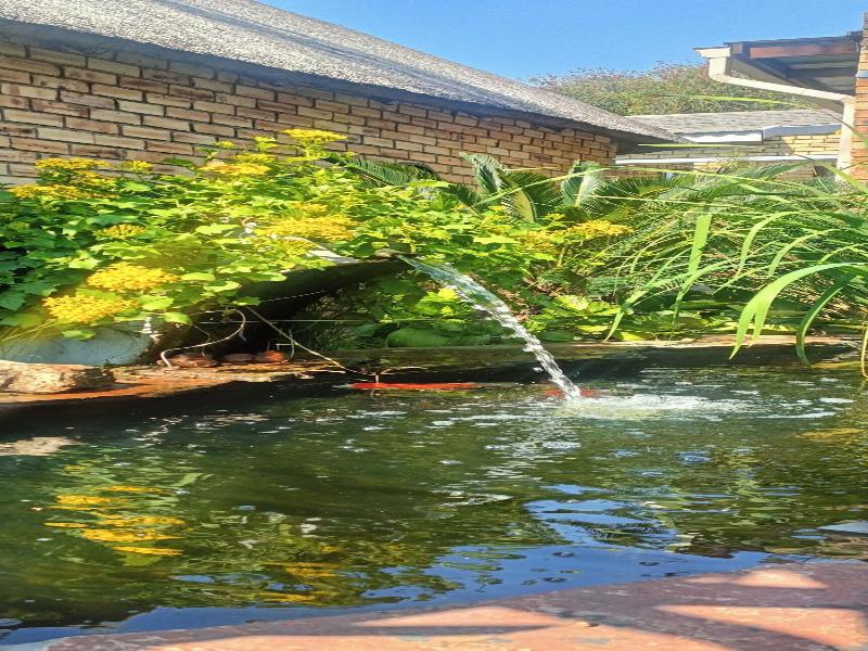 Citrus Lane Guesthouse image