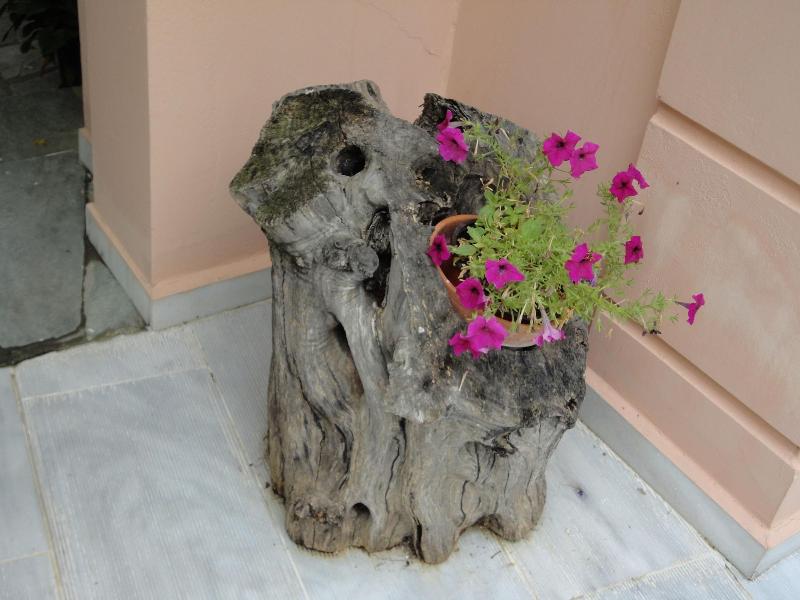 Eleonas Hotel image