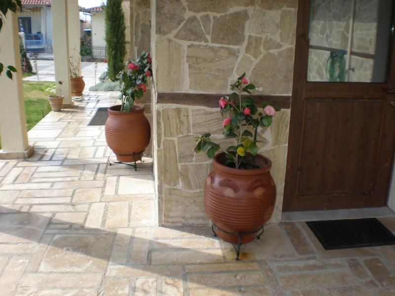Olympia Guesthouse