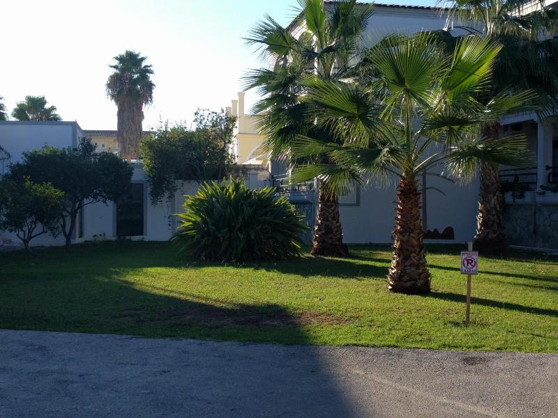 Ammos Apartments image