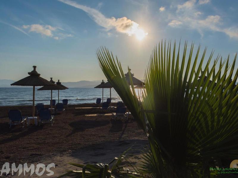 Ammos Apartments image
