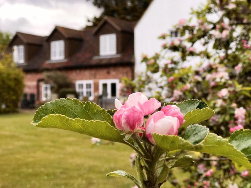 Hanger Down House Bed And Breakfast image