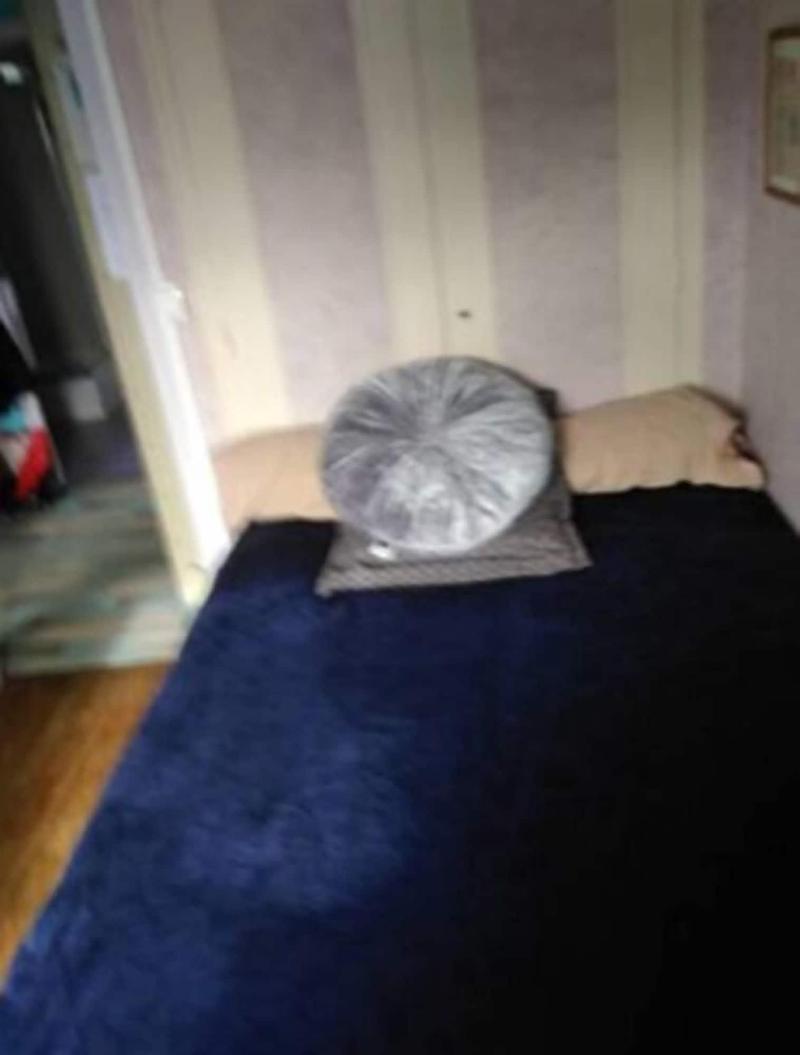 Chambre Rennaise image