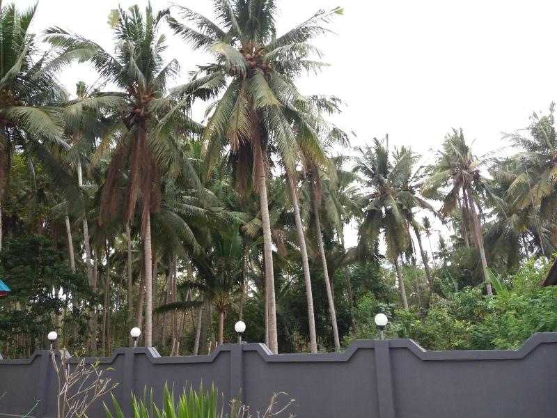 Citiz's House image
