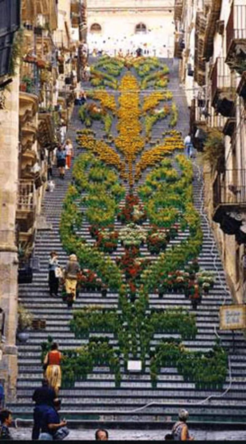 La Rosa Antica image