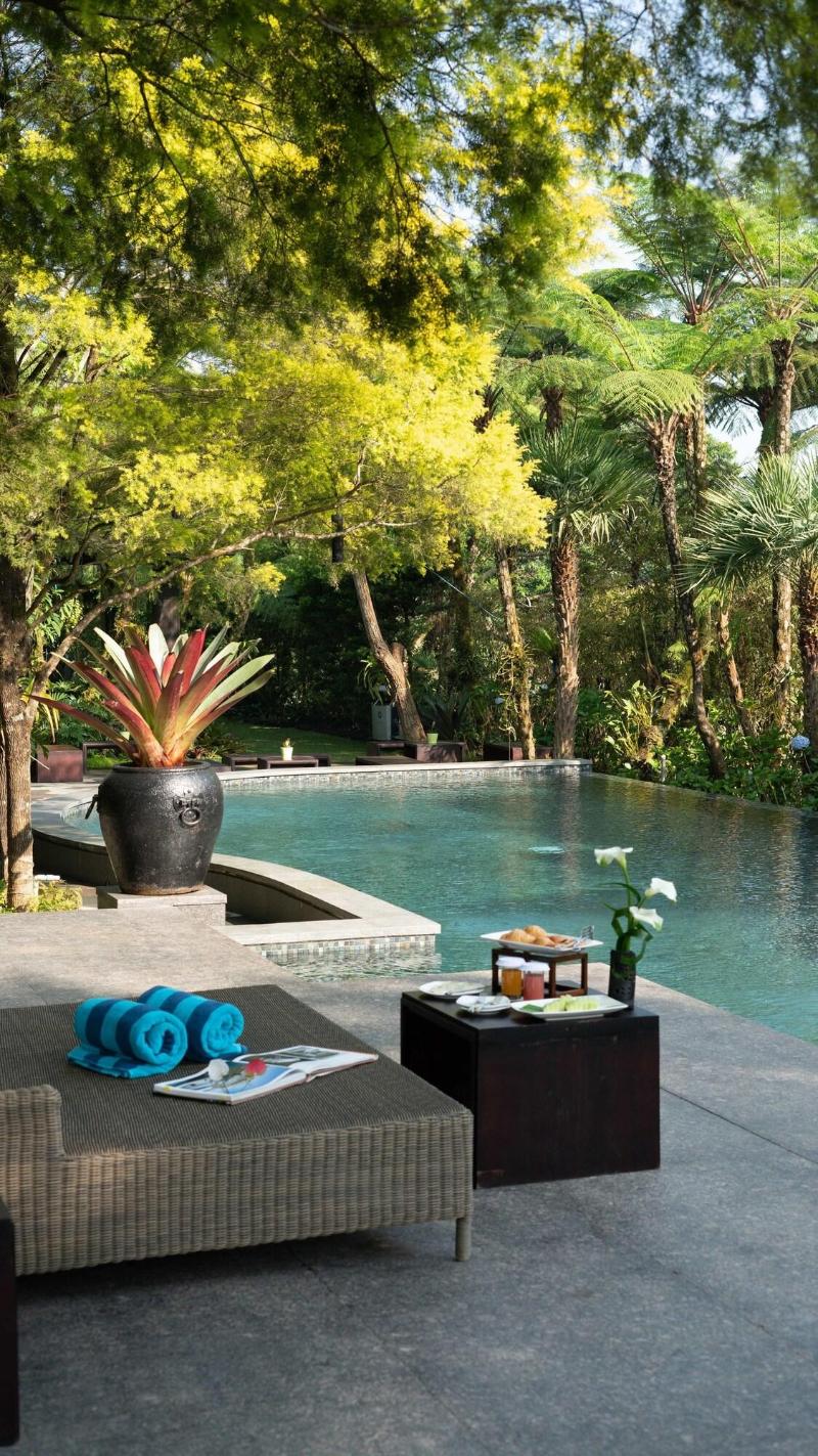 Amaryllis Boutique Resort image