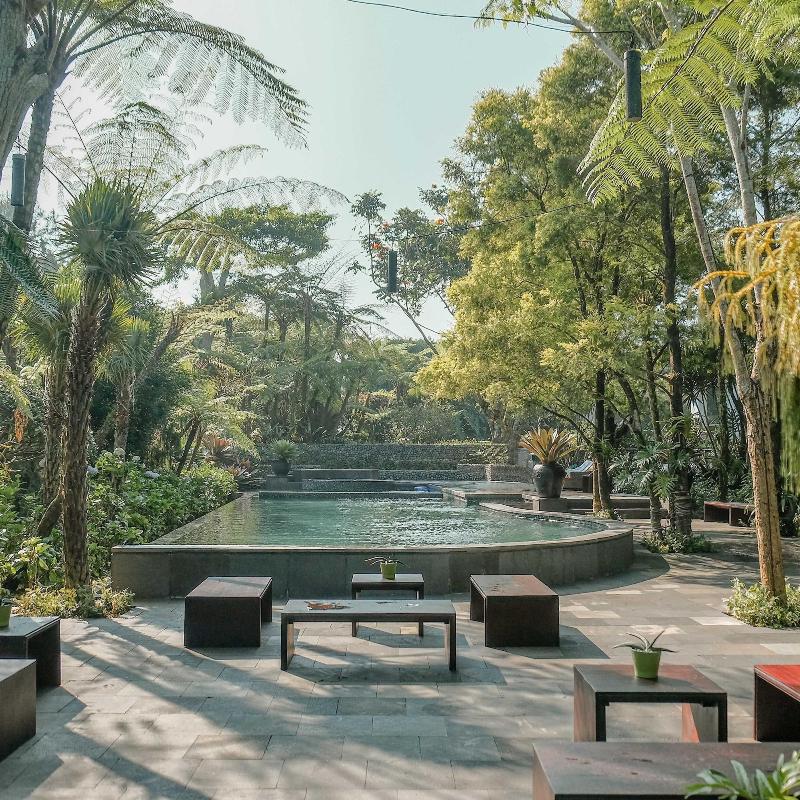 Amaryllis Boutique Resort image