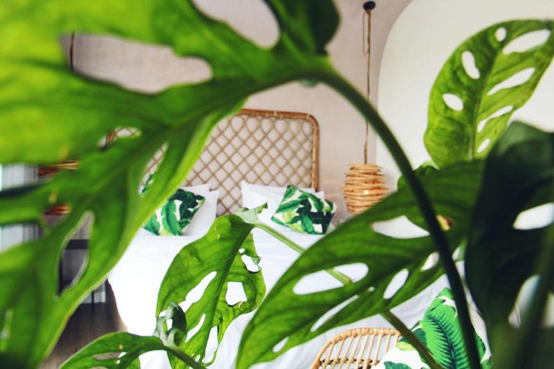Green River Boutique Hotel image