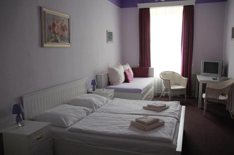 Penzion U Lucerny image