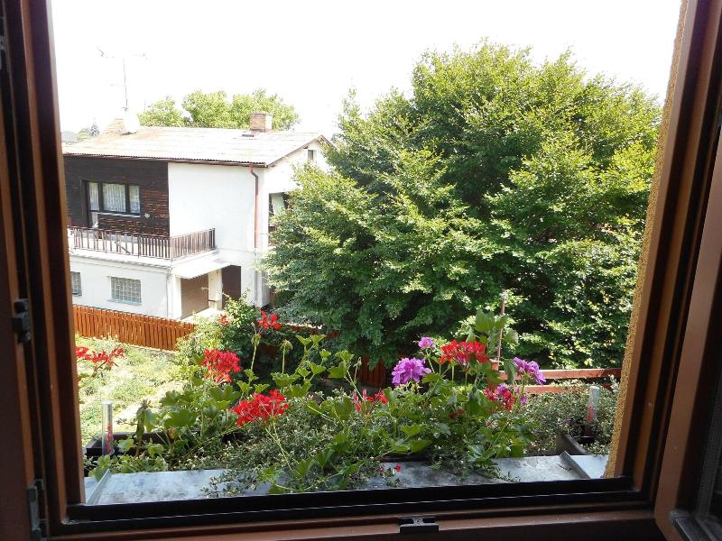 Penzion U Lesa image