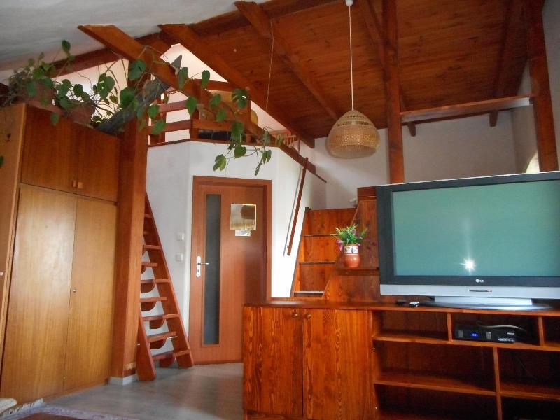 Penzion U Lesa image