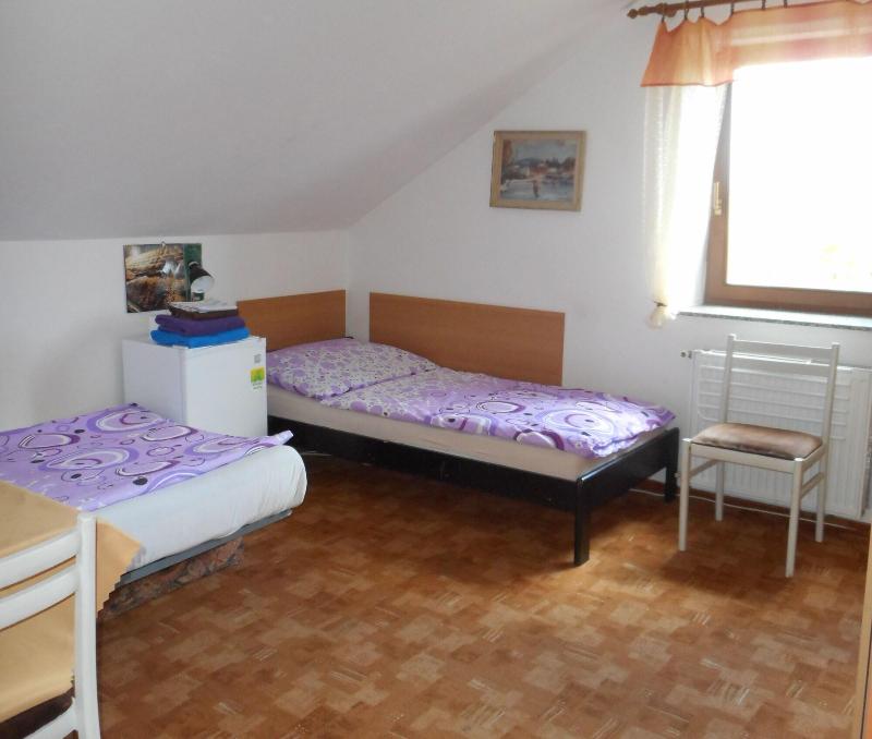 Penzion U Lesa image