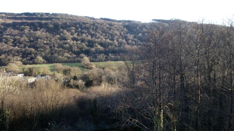 Cilbrwyn Countryside Retreat image