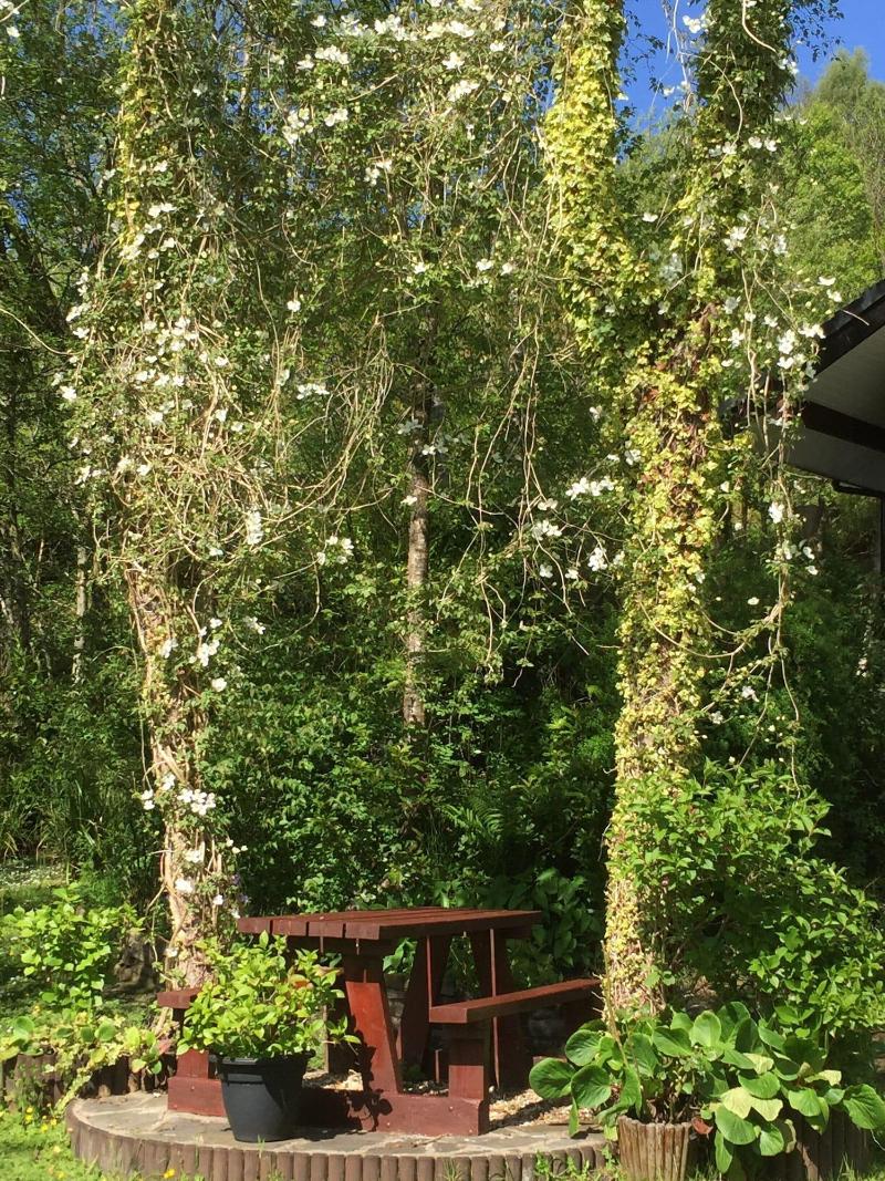 Cilbrwyn Countryside Retreat image