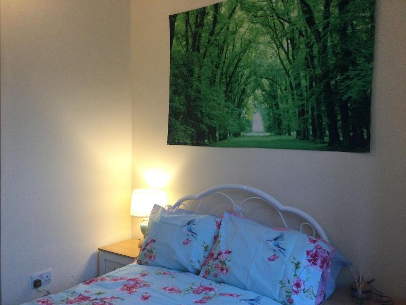 Tdm Bachelot Lettings Ltd image