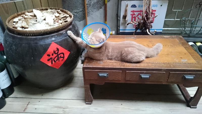 The Vintage Maison Tainan image