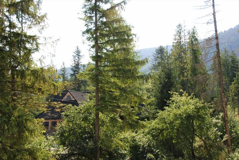 Willa Pan Tadeusz - POLSKIE TATRY S.A. image