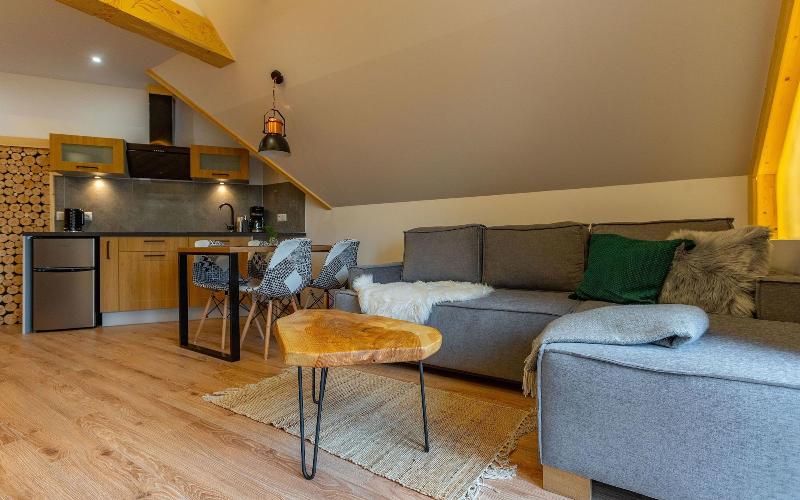 Stacja Zakopane - Apartamenty w Centrum image