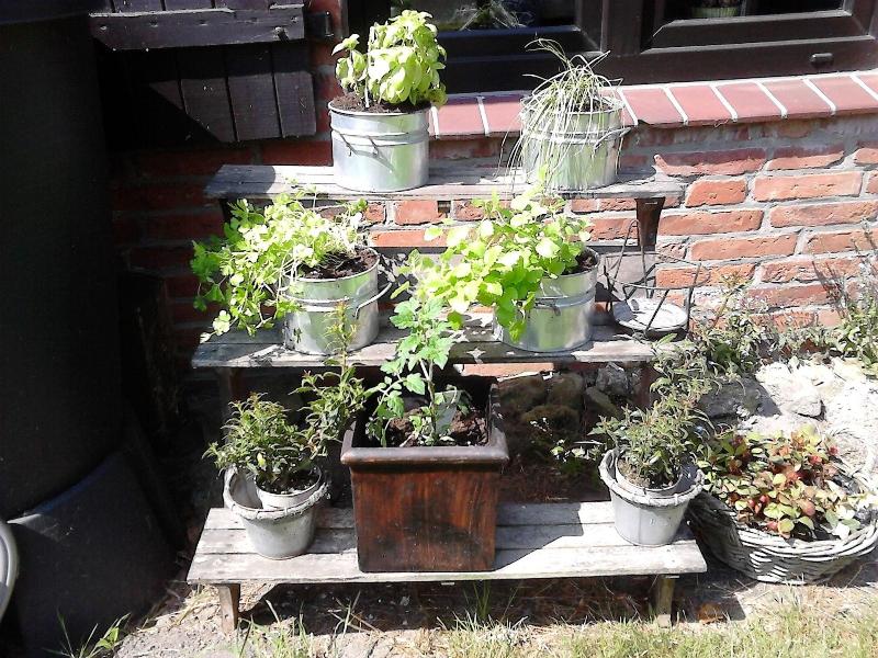 Zum Alten Krug image